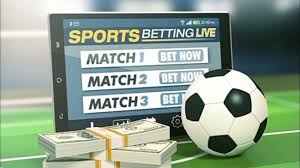 Exploring the Excitement of bongobongo bet Your Ultimate Guide