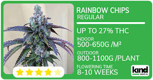 Exploring Marijuana Seeds Louisiana A Comprehensive Guide Exploring Marijuana Seeds Louisiana A Comprehensive Guide