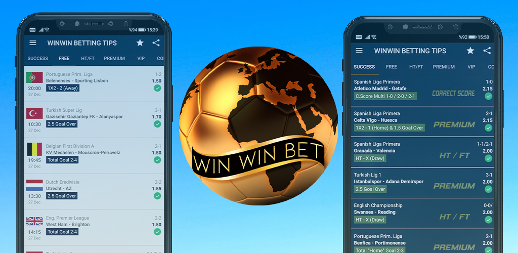 The Essentials of WinWin Strategies for Success