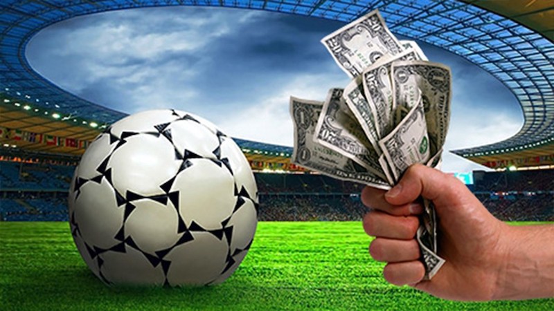 Exploring the Excitement of Safi Bet Your Ultimate Betting Destination
